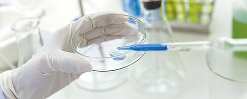 Investing in Research and Development